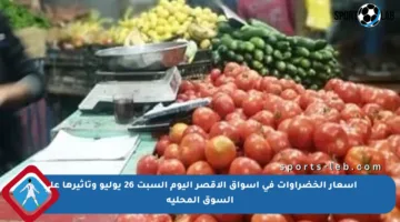 أسعار الخضراوات في أسواق الأقصر اليوم السبت 26 يوليو وتأثيرها على السوق المحلية